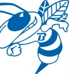 Brixia Basket Brixia Basket