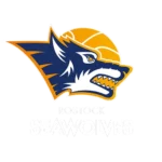 Rostock Seawolves Rostock Seawolves