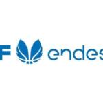 Liga Femenina Endesa LF Endesa