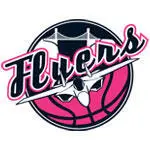 Bristol Flyers