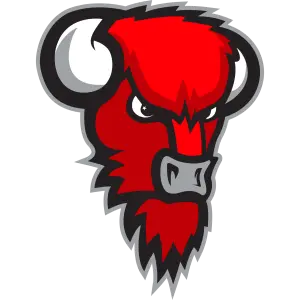 Bisons Loimaa Bisons Loimaa