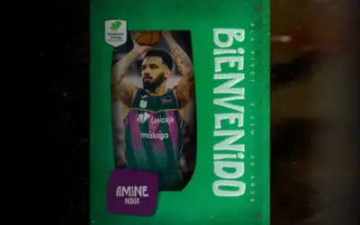 Amine Noua